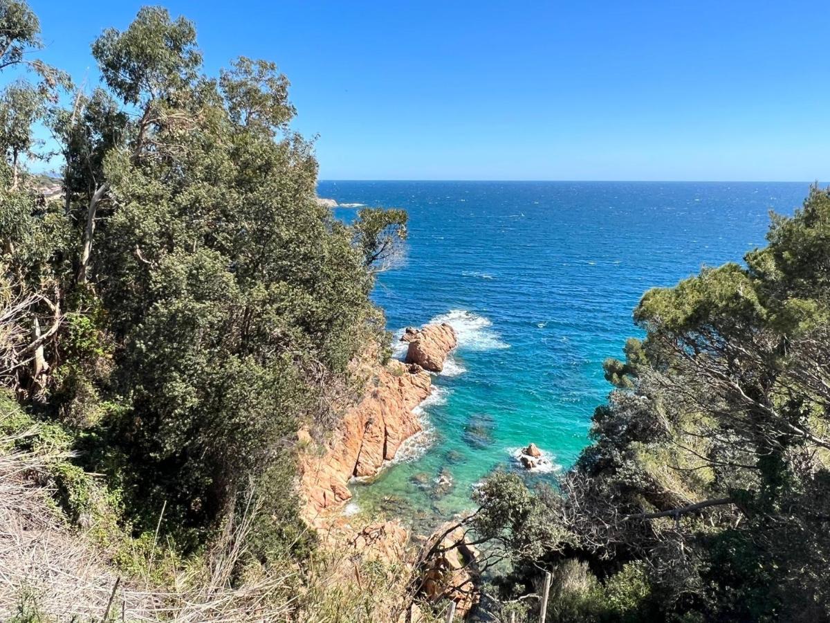Family Homefromhomees Sant Feliu de Guixols Bagian luar foto